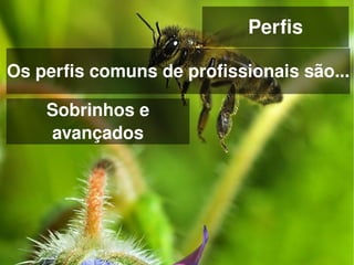Perfis

Os perfis comuns de profissionais são...

     Sobrinhos e 
     avançados




                     
 