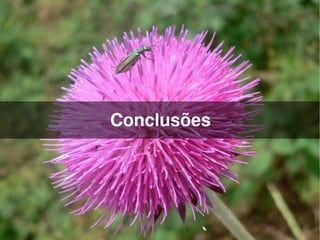 Conclusões




         
 