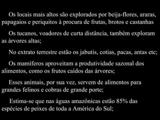 Os locais mais altos são explorados por beija-flores, araras, papagaios e periquitos à procura de frutas, brotos e castanhas Os tucanos, voadores de curta distância, também exploram as árvores altas; No extrato terrestre estão os jabutis, cotias, pacas, antas etc; Os mamíferos aproveitam a produtividade sazonal dos alimentos, como os frutos caídos das árvores; Esses animais, por sua vez, servem de alimentos para grandes felinos e cobras de grande porte; Estima-se que nas águas amazônicas estão 85% das espécies de peixes de toda a América do Sul; 