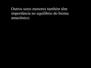 Outros seres menores também têm importância no equilíbrio do bioma amazônico; 