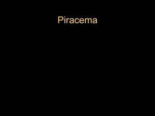 Piracema 
