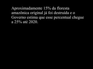 Aproximadamente 15% da floresta amazônica original já foi destruída e o Governo estima que esse percentual chegue a 25% até 2020.  