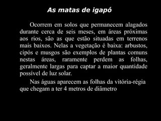 Ocorrem em solos que permanecem alagados durante cerca de seis meses, em áreas próximas aos rios, são as que estão situadas em terrenos mais baixos. Nelas a vegetação é baixa: arbustos, cipós e musgos são exemplos de plantas comuns nestas áreas, raramente perdem as folhas, geralmente largas para captar a maior quantidade possível de luz solar.  Nas águas aparecem as folhas da vitória-régia  que chegam a ter 4 metros de diâmetro As matas de igapó  
