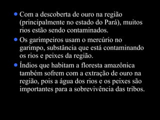 Com a descoberta de ouro na região (principalmente no estado do Pará), muitos rios estão sendo contaminados.  Os garimpeiros usam o mercúrio no garimpo, substância que está contaminando os rios e peixes da região.  Índios que habitam a floresta amazônica também sofrem com a extração de ouro na região, pois a água dos rios e os peixes são importantes para a sobrevivência das tribos.  