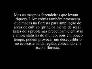 Mas os mesmos fazendeiros que levam riqueza à Amazônia também provocam queimadas na floresta para ampliação de áreas de cultivo (principalmente de soja). Estes dois problemas preocupam cientistas e ambientalistas do mundo, pois em pouco tempo, podem provocar um desequilíbrio no ecossistema da região, colocando em risco a floresta.  