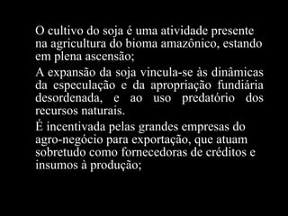 O cultivo do soja é uma atividade presente na agricultura do bioma amazônico, estando em plena ascensão; A expansão da soja vincula-se às dinâmicas da especulação e da apropriação fundiária desordenada, e ao uso predatório dos recursos naturais. É  incentivada pelas grandes empresas do agro-negócio para exportação, que atuam sobretudo como fornecedoras de créditos e insumos à produção; 
