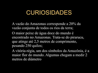 CURIOSIDADES A vazão do Amazonas corresponde a 20% da vazão conjunta de todos os rios da terra; O maior peixe de água doce do mundo é encontrado no Amazonas. Trata-se do pirarucu, que atinge até 2,5 metros de comprimento, pesando 250 quilos; A vitória-régia, um dos símbolos da Amazônia, é a maior flor do mundo. Algumas chegam a medir 2 metros de diâmetro 