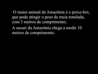 O maior animal da Amazônia é o peixe-boi, que pode atingir o peso de meia tonelada, com 3 metros de comprimento; A sucuri da Amazônia chega a medir 10 metros de comprimento; 