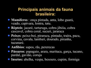 Principais animais da fauna brasileira: Mamíferos  : onça pintada, anta, lobo guará, veado, capivara, lontra, tatu. Répteis : jacaré, tartaruga, cobra jibóia, cobra cascavel, cobra coral, sucuri, jararaca Peixes : peixe-boi, pirarucu, pintado, traíra, pacu, corvina, cavala, lambari, dourado, piranha, tucunaré. Anfíbios : sapos, rãs, pererecas Pássaros : papagaio, arara, maritaca, garça, tucano, pardal, gavião, coruja Insetos:  abelha, vespa, besouro, cupim, formiga 