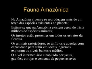 Fauna Amazônica Na Amazônia vivem e se reproduzem mais de um terço das espécies existentes no planeta; Estima-se que na Amazônia existem cerca de trinta milhões de espécies animais; Os insetos estão presentes em todos os estratos da floresta. Os animais rastejadores, os anfíbios e aqueles com capacidade para subir em locais íngremes exploram os níveis baixos e médios. O nível intermediário é habitado por jacus, gaviões, corujas e centenas de pequenas aves 