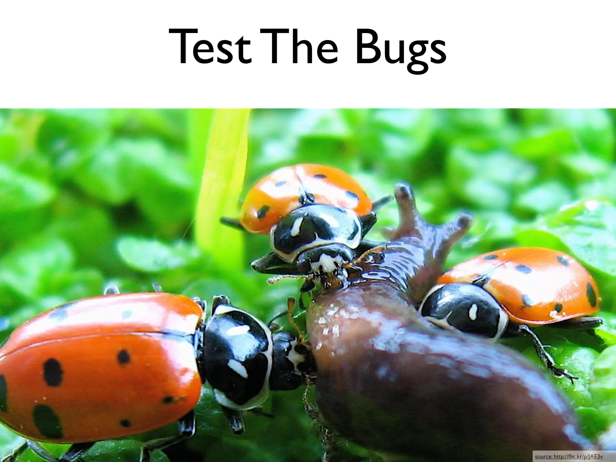 Test The Bugs




                source: http://ﬂic.kr/p/JAE3v
 