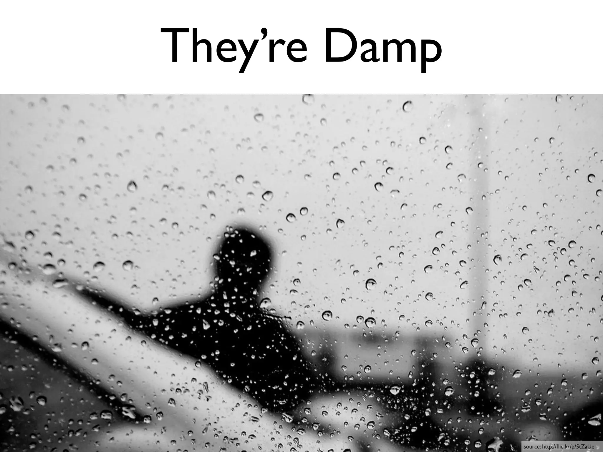 They’re Damp




               source: http://ﬂic.kr/p/5tZaUe
 