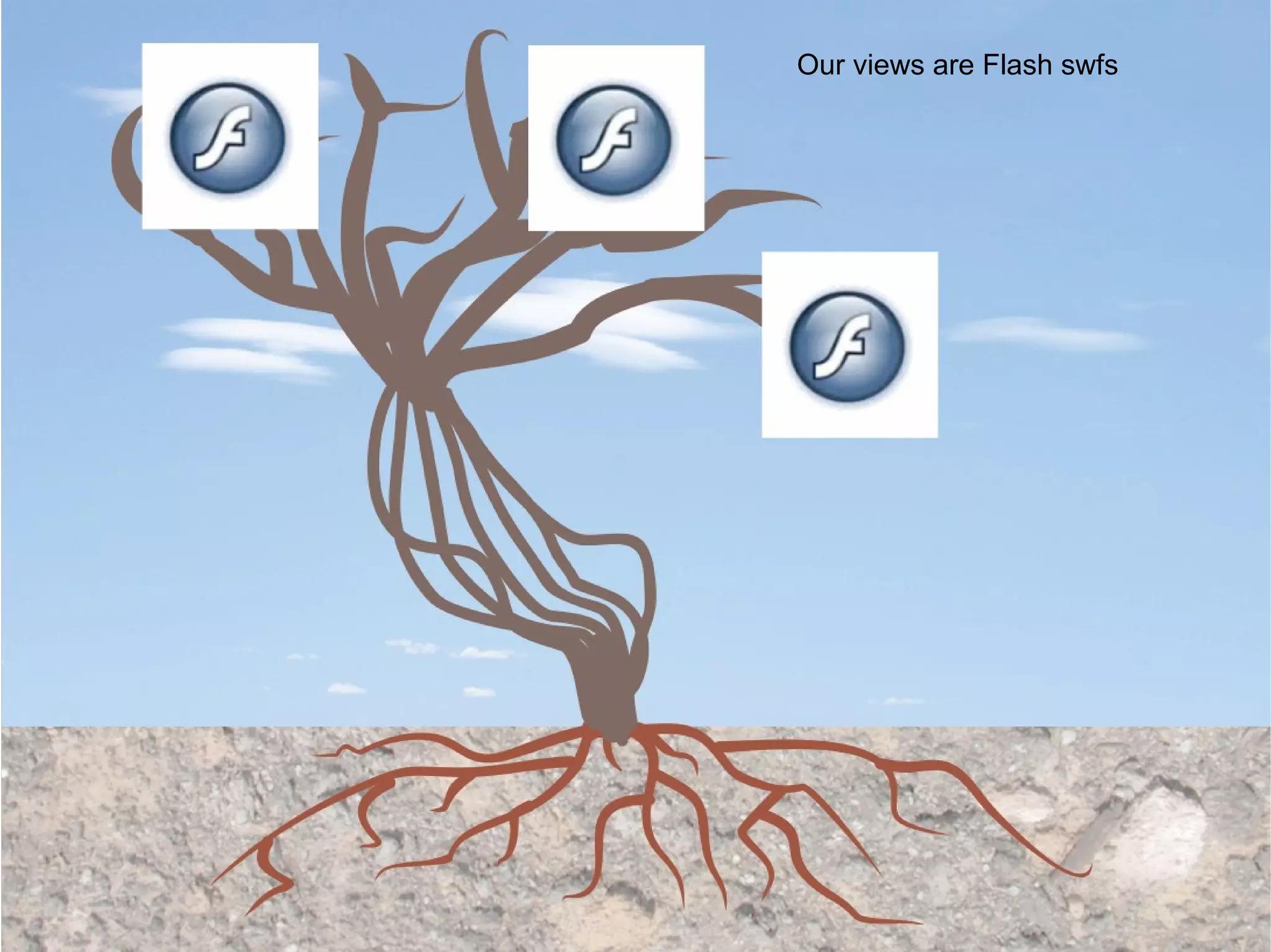 Our views are Flash swfs 