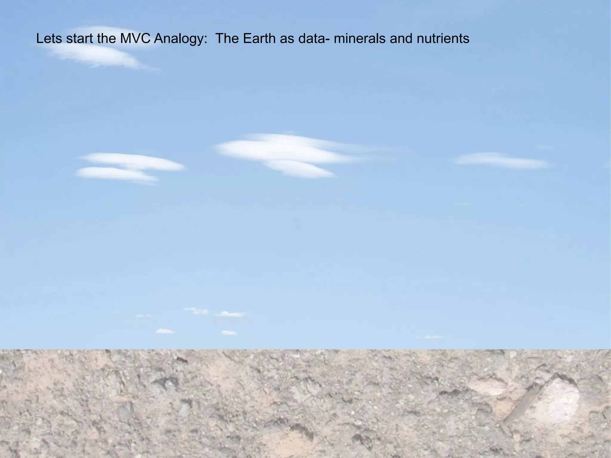 Lets start the MVC Analogy:  The Earth as data- minerals and nutrients 