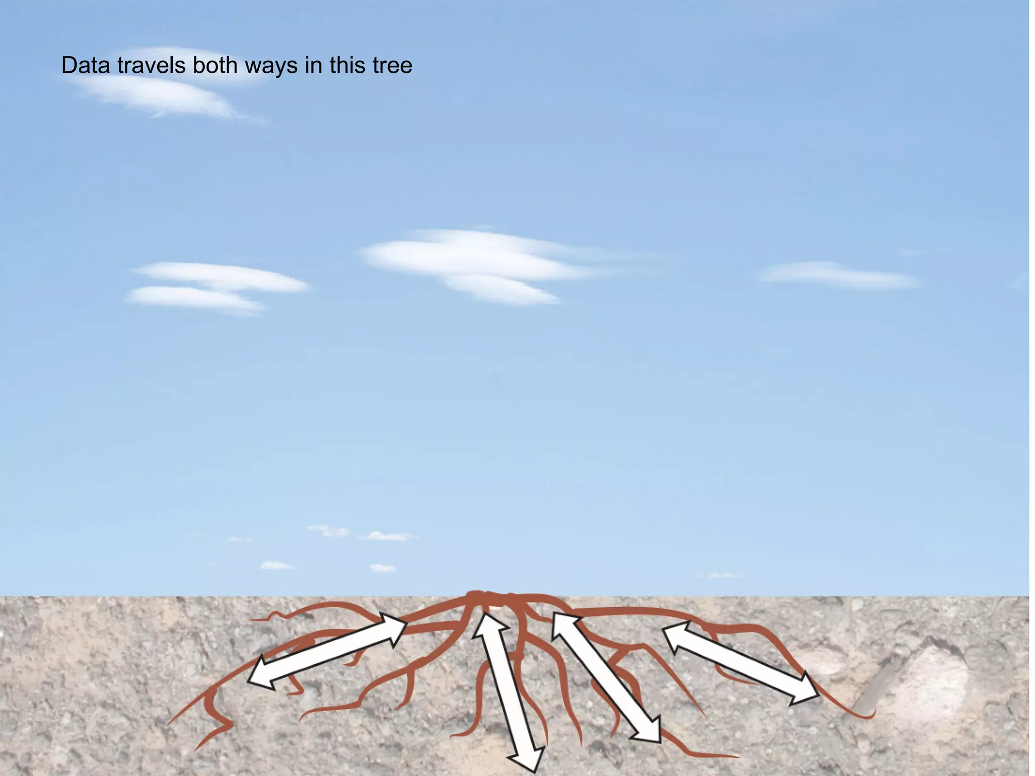 Data travels both ways in this tree 