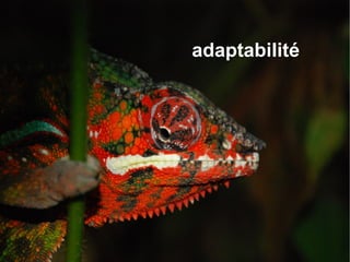 Rubik's cube Métier :  Calcul de polices d'assurances 