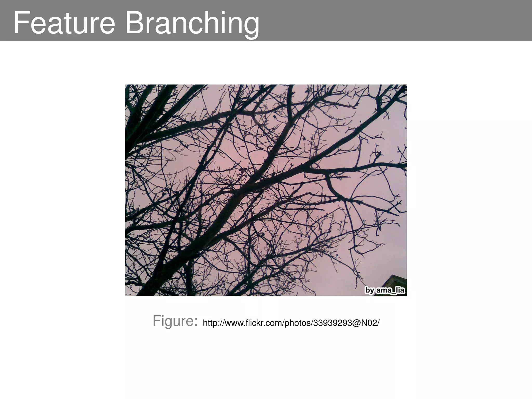 Feature Branching




         Figure:   http://www.ﬂickr.com/photos/33939293@N02/
 
