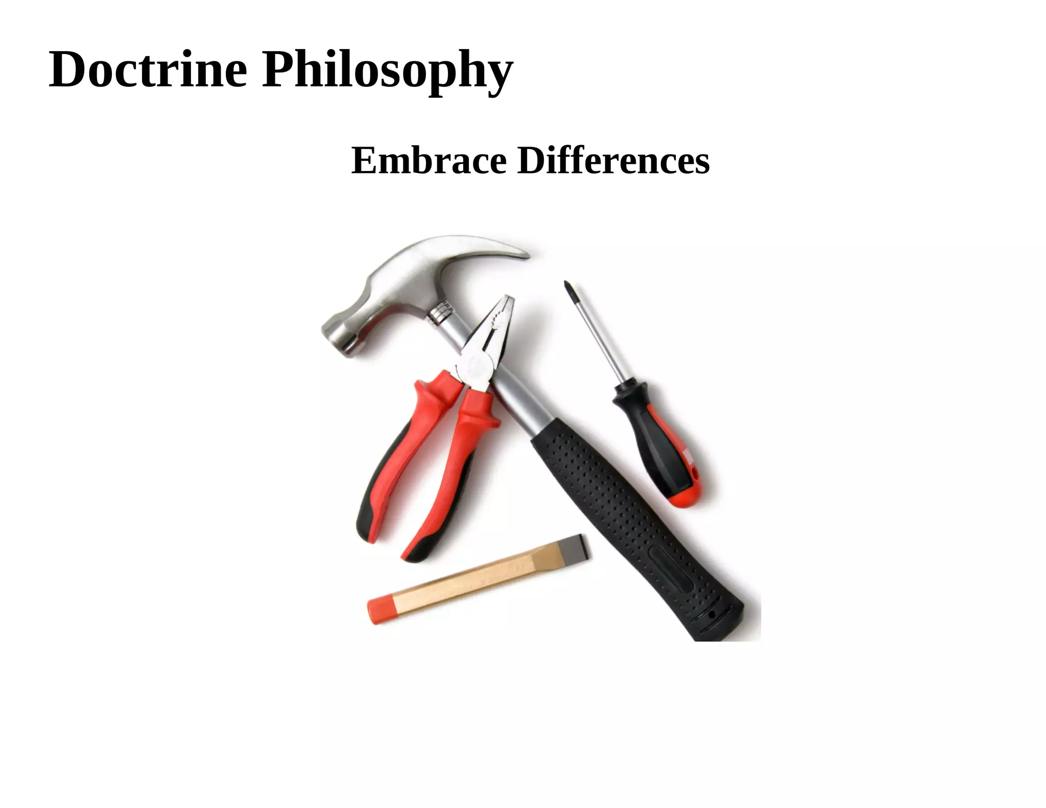 Doctrine Philosophy
            Embrace Differences
 