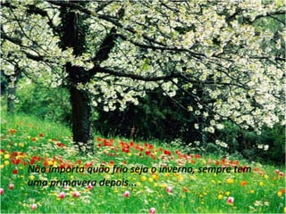 Não importa quão frio seja o inverno, sempre tem uma primavera depois...  