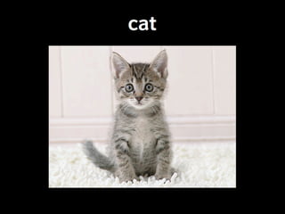 Linguistic Potluck: Crowdsourcing localization with Rails