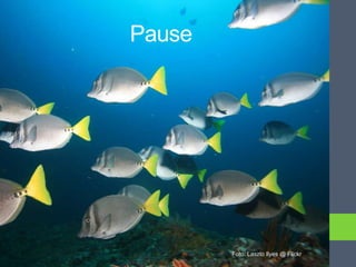 Pause




        Foto: Laszlo Ilyes @ Flickr
 