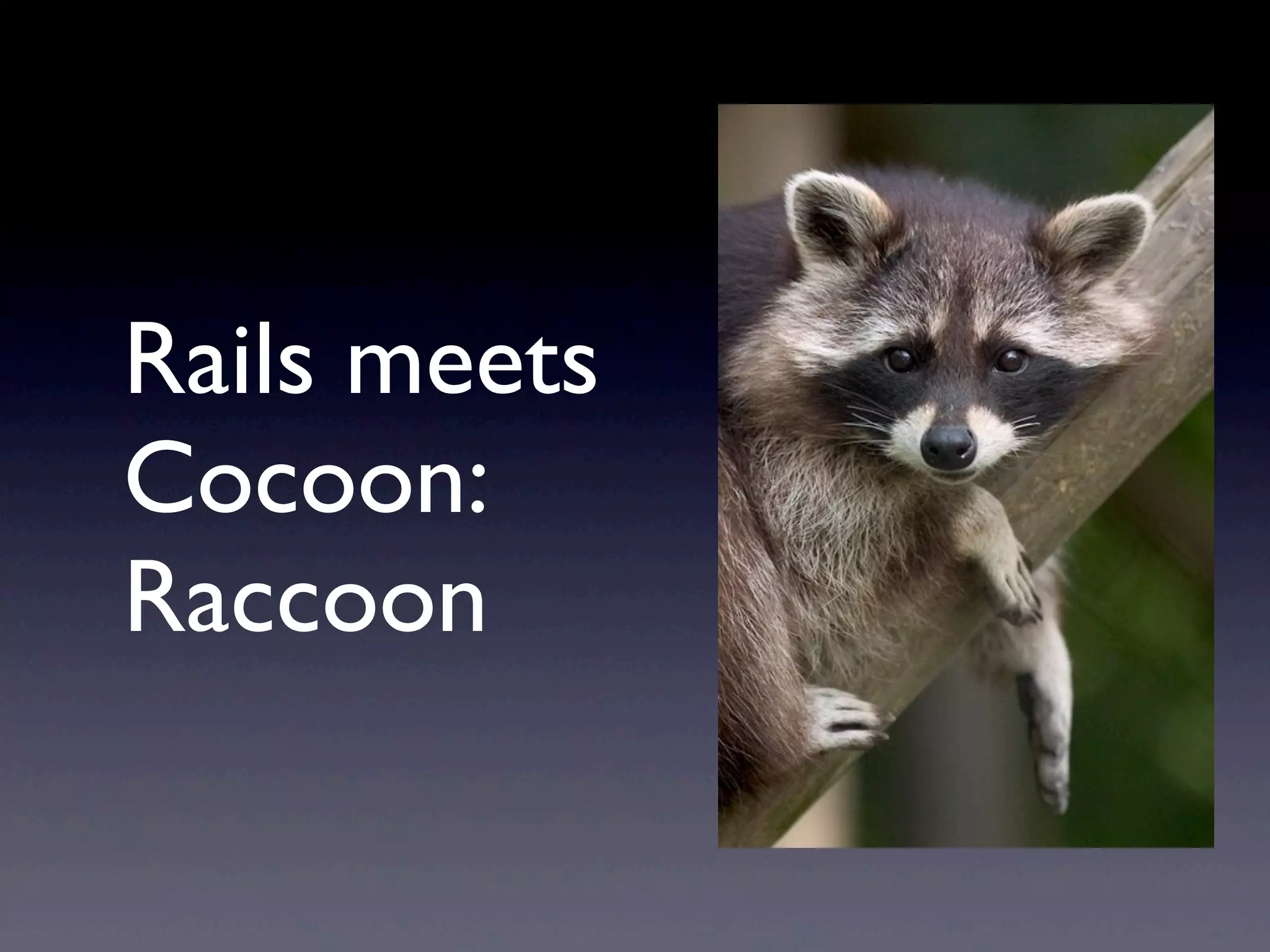 Rails meets
Cocoon:
Raccoon
 
