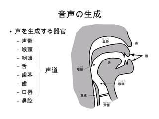 音声の生成
● 声を生成する器官
– 声帯
– 喉頭
– 咽頭
– 舌
– 歯茎
– 歯
– 口唇
– 鼻腔
声道
 