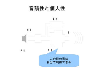 音韻性と個人性
声 帯 声 道
喉 頭
唇
鼻 腔
この辺の形は
自分で制御できる
 