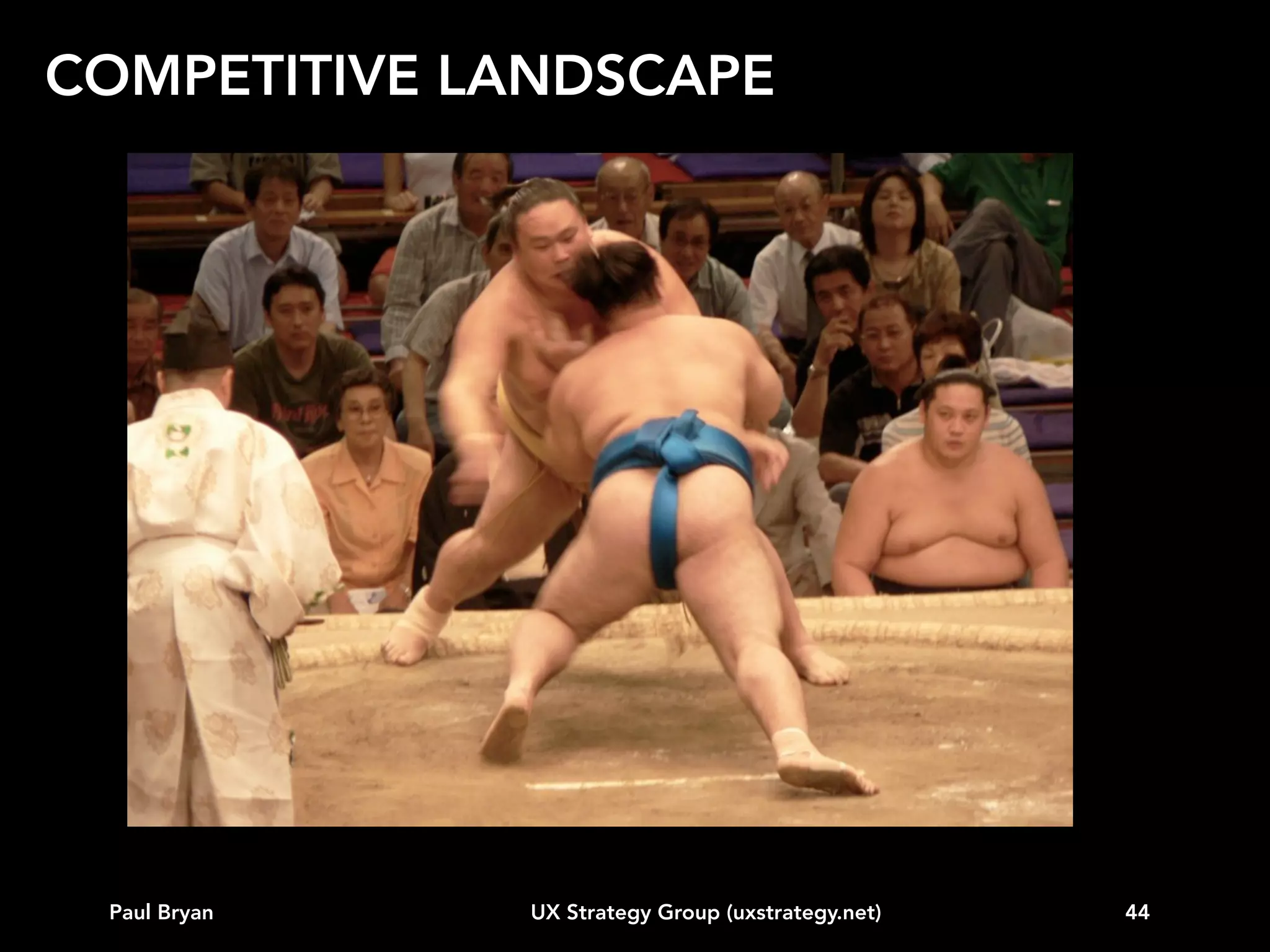 COMPETITIVE LANDSCAPE

Paul Bryan

UX Strategy Group (uxstrategy.net)

44

 