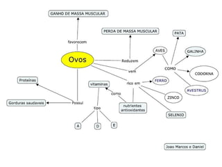 Mapas Conceituais - Alimantos Saudáveis - 4º ano 3