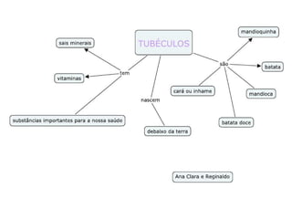 Mapas Conceituais - Alimantos Saudáveis - 4º ano 3