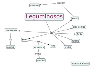 Mapas Conceituais - Alimantos Saudáveis - 4º ano 3