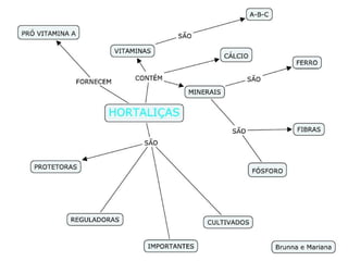 Mapas Conceituais - Alimantos Saudáveis - 4º ano 3