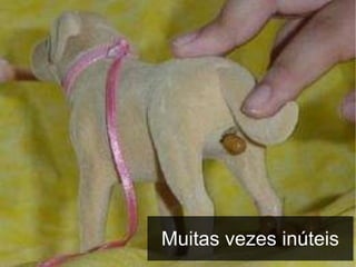 Muitas vezes inúteis

 