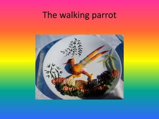 The walking parrot

 
