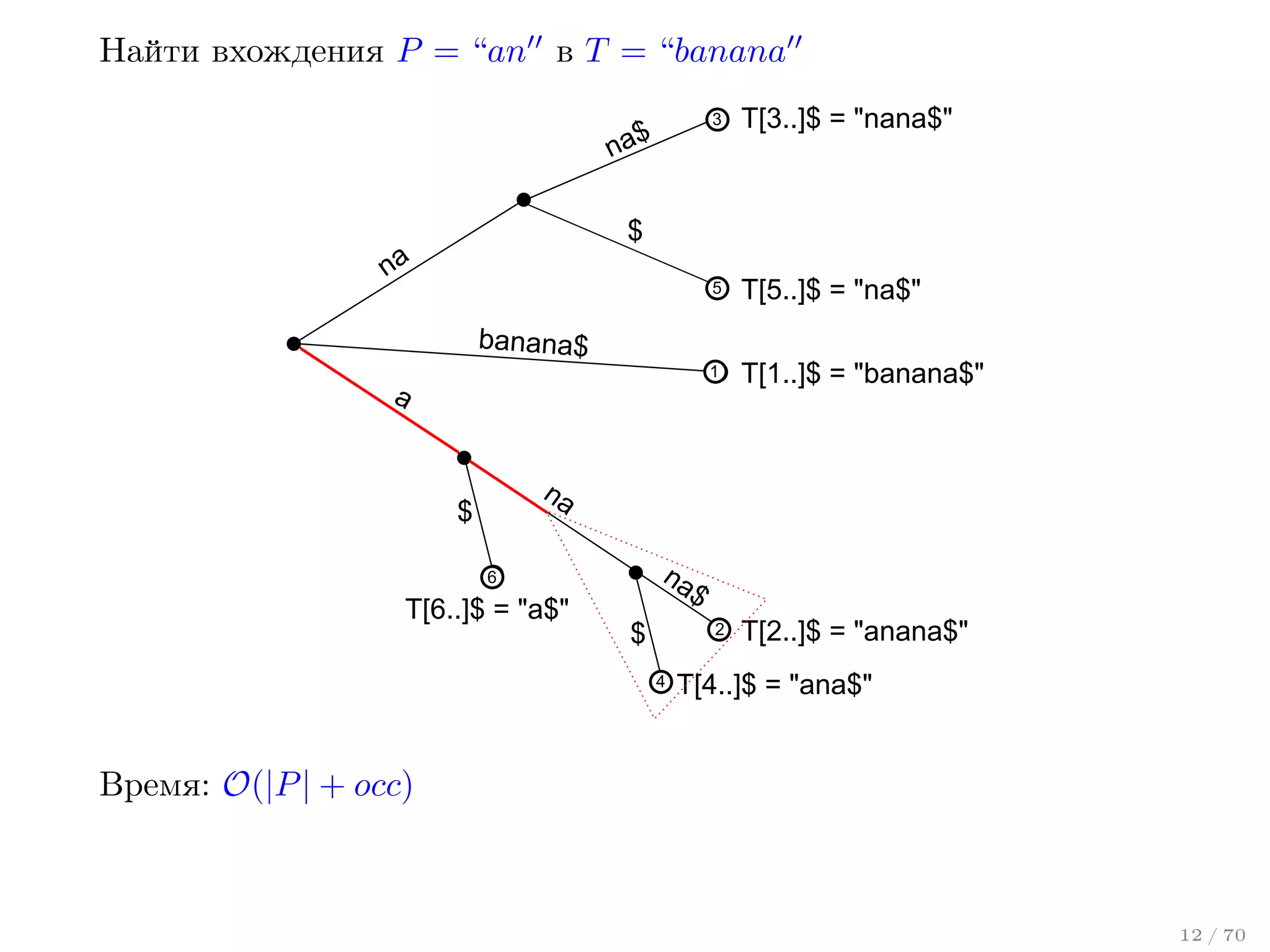 Найти вхождения P = “an в T = “banana
3

T[3..]$ = "nana$"

5

T[5..]$ = "na$"

1

na$

T[1..]$ = "banana$"

$

na

banana$

a
na

$

na
$

6

T[6..]$ = "a$"

$

2
4

T[2..]$ = "anana$"

T[4..]$ = "ana$"

Время: O(|P | + occ)

12 / 70

 