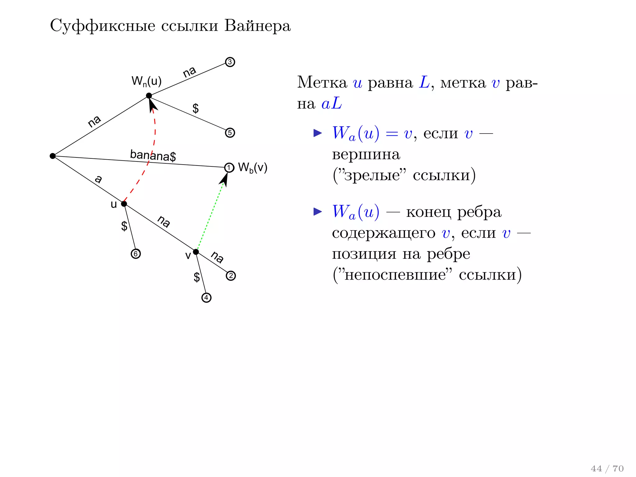 Суффиксные ссылки Вайнера
Wn(u)

3

na

Метка u равна L, метка v равна aL

$

na

5

banana$
1

a

u

na

$
6

na

v
$

2

Wb(v)

Wa (u) = v, если v —
вершина
(”зрелые” ссылки)
Wa (u) — конец ребра
содержащего v, если v —
позиция на ребре
(”непоспевшие” ссылки)

4

44 / 70

 