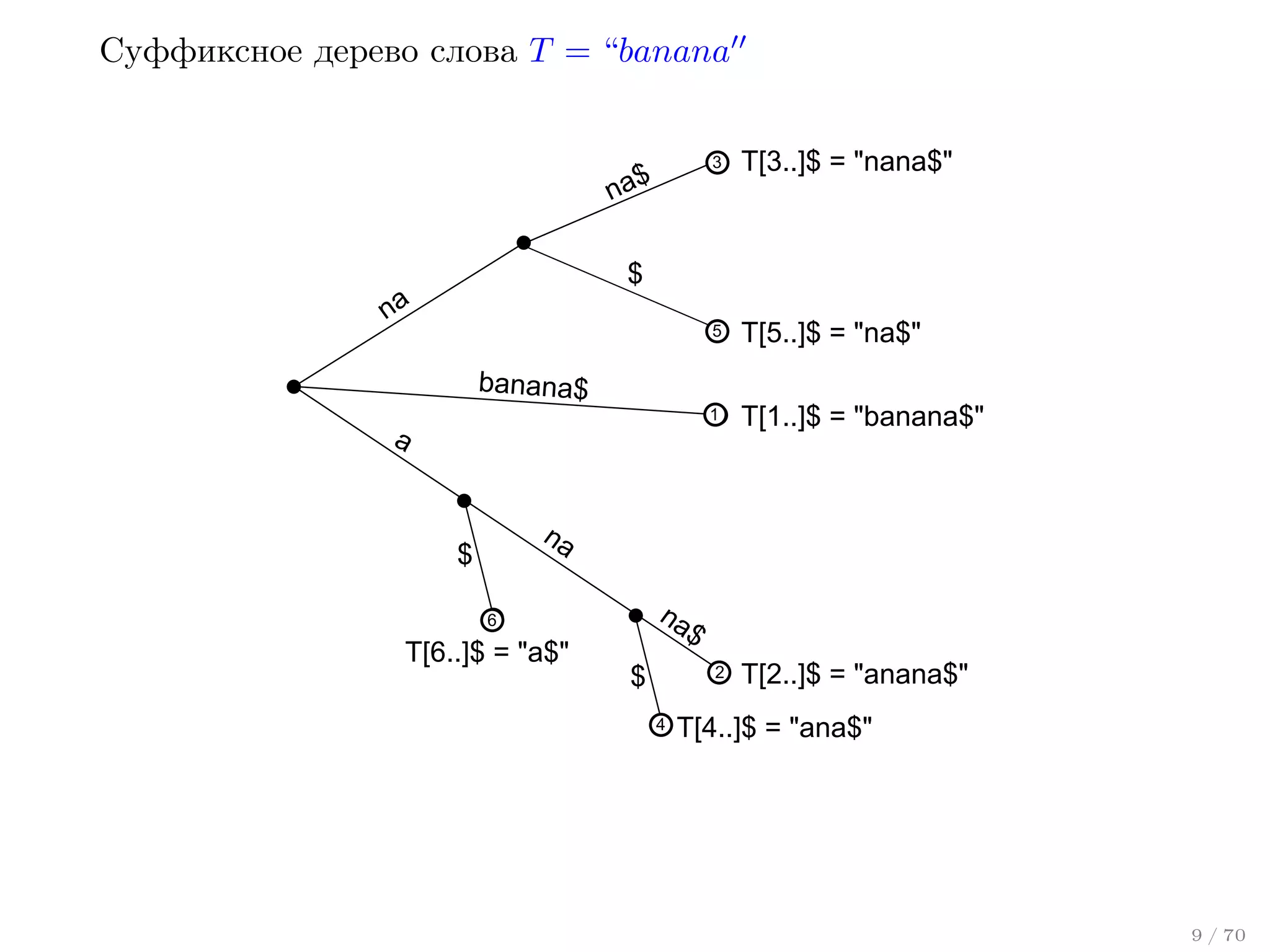 Суффиксное дерево слова T = “banana
3

T[3..]$ = "nana$"

5

T[5..]$ = "na$"

1

na$

T[1..]$ = "banana$"

$

na

banana$

a
na

$

na

6

T[6..]$ = "a$"

$

$

2
4

T[2..]$ = "anana$"

T[4..]$ = "ana$"

9 / 70

 