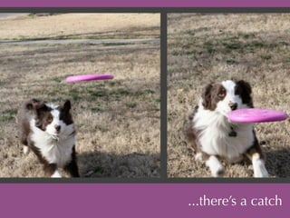 ...there’s a catch 
 