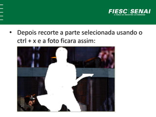 • Depois recorte a parte selecionada usando o 
ctrl + x e a foto ficara assim: 
 