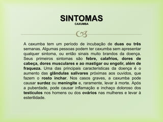 
SINTOMASCAXUMBA
A caxumba tem um período de incubação de duas ou três
semanas. Algumas pessoas podem ter caxumba sem apresentar
qualquer sintoma, ou então sinais muito brandos da doença.
Seus primeiros sintomas são febre, calafrios, dores de
cabeça, dores musculares e ao mastigar ou engolir, além de
fraqueza. Uma das principais características da doença é o
aumento das glândulas salivares próximas aos ouvidos, que
fazem o rosto inchar. Nos casos graves, a caxumba pode
causar surdez ou meningite e, raramente, levar à morte. Após
a puberdade, pode causar inflamação e inchaço doloroso dos
testículos nos homens ou dos ovários nas mulheres e levar à
esterilidade.
 