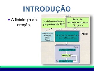 INTRODUÇÃO
A fisiologia da
ereção.
 