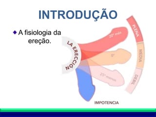 INTRODUÇÃO
A fisiologia da
ereção.
 