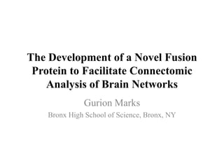 The Development of a Novel Fusion
Protein to Facilitate Connectomic
Analysis of Brain Networks
Gurion Marks
Bronx High School of Science, Bronx, NY
 