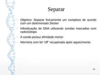 45
Separar
●
Objetivo: Separar fisicamente um complexo de acordo
com um determinado Sticker
●
Hibridização de DNA utilizando sondas marcadas com
radioisótopo
●
A sonda possui afinidade menor
●
Memória com bit “off” recuperada após aquecimento
 