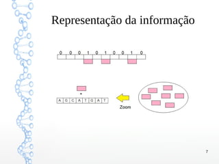 7
Representação da informação
 