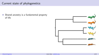 Current state of phylogenetics
Shared ancestry is a fundamental property
of life
Shared divergences Jamie Oaks – phyletica...