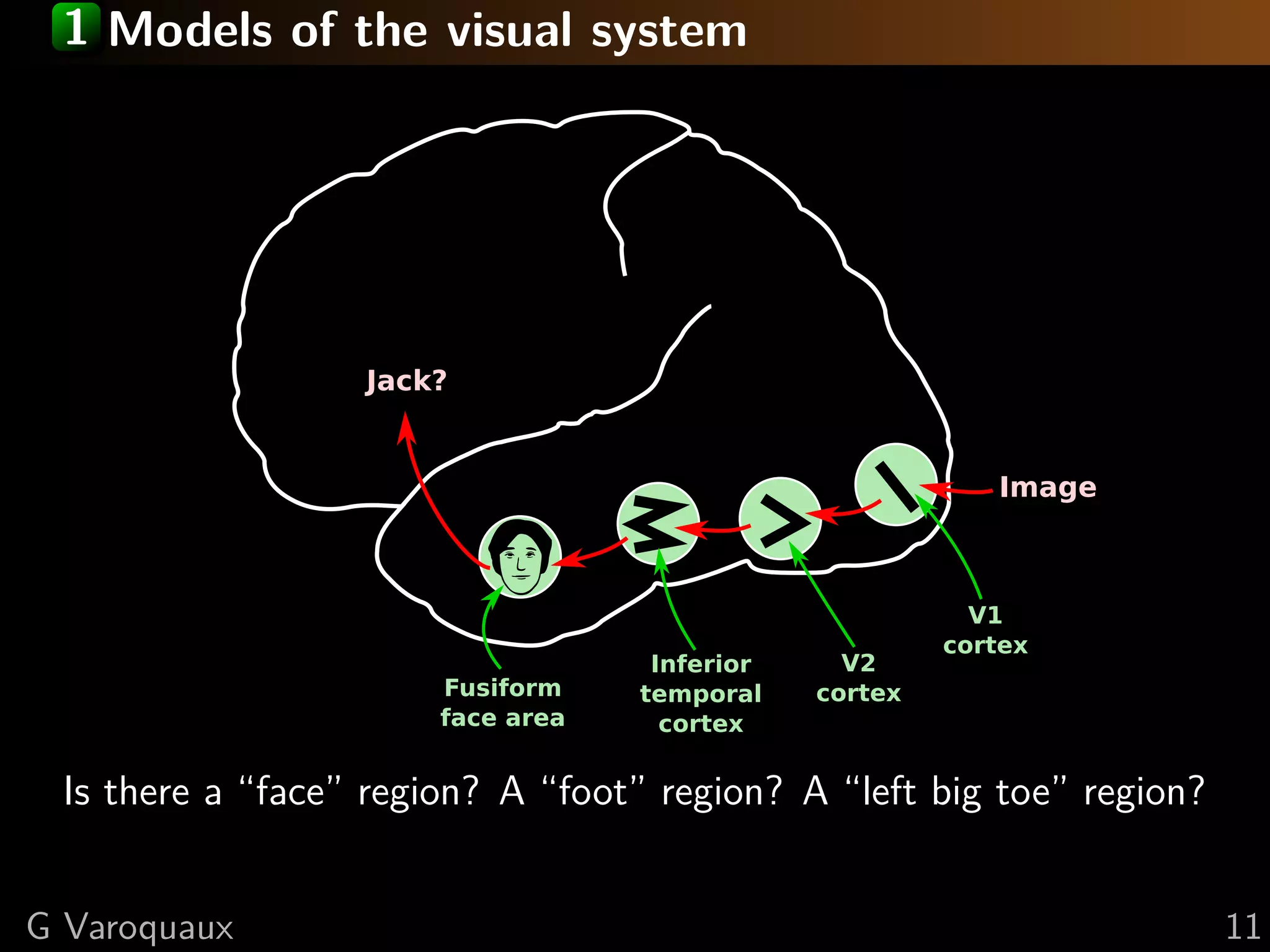 1 Models of the visual system
Image
V1
cortex
V2
cortex
Inferior
temporal
cortex
Fusiform
face area
Jack?
Is there a “face” region? A “foot” region? A “left big toe” region?
G Varoquaux 11
 