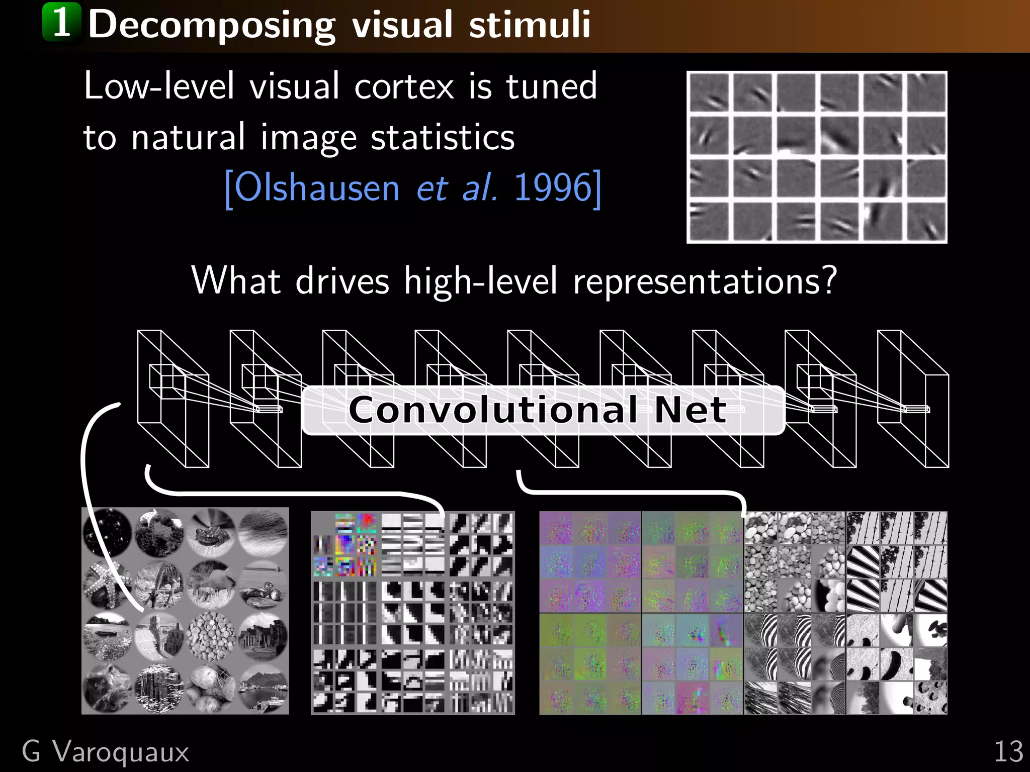 1 Decomposing visual stimuli
Low-level visual cortex is tuned
to natural image statistics
[Olshausen et al. 1996]
What drives high-level representations?
Convolutional Net
G Varoquaux 13
 