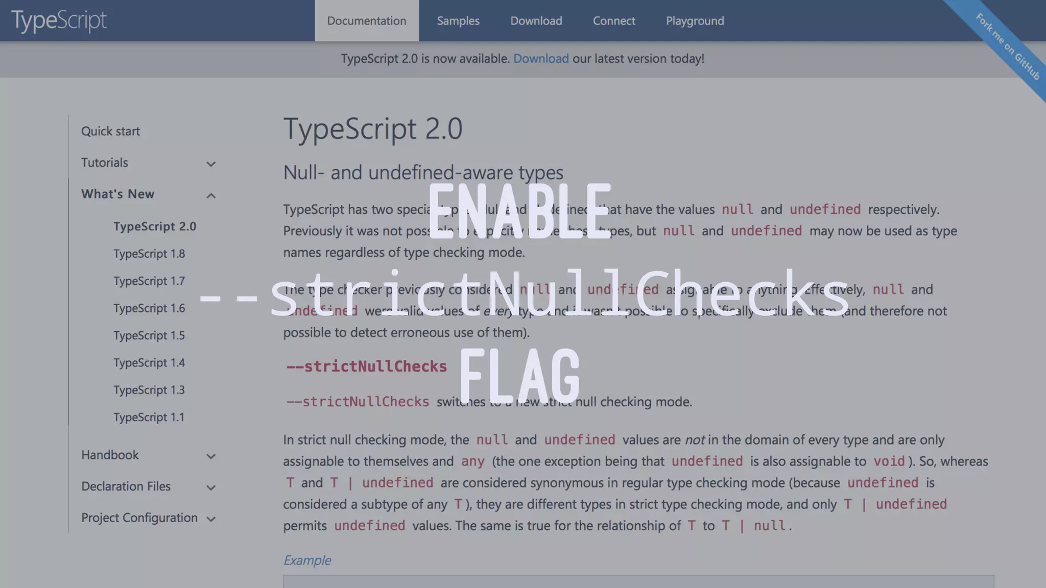 ENABLE
--strictNullChecks
FLAG
 